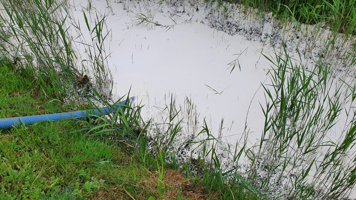Afgelopen nacht zijn onze mensen voor het van ruim 33 ton room.

Onze milieukundige ter plaatse heeft gezorgd voor de aansturing en begeleiding van de sanering en het afdammen en leegzuigen van de sloot.

#room #nachtwerk #calamiteiten