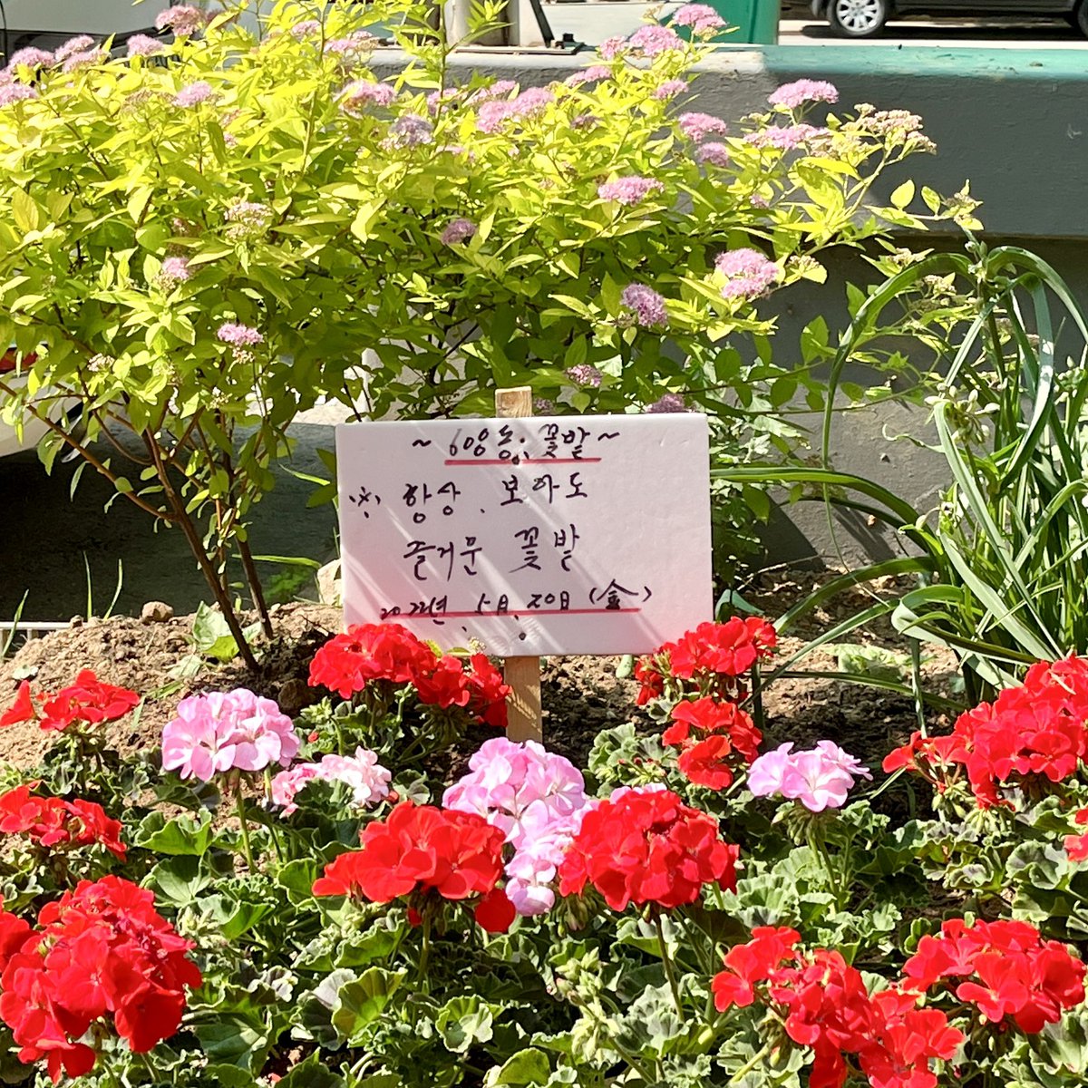 _gardner902's tweet photo. 손글씨가 주는 낭만💖 https://t.co/N2WyPq9xTD