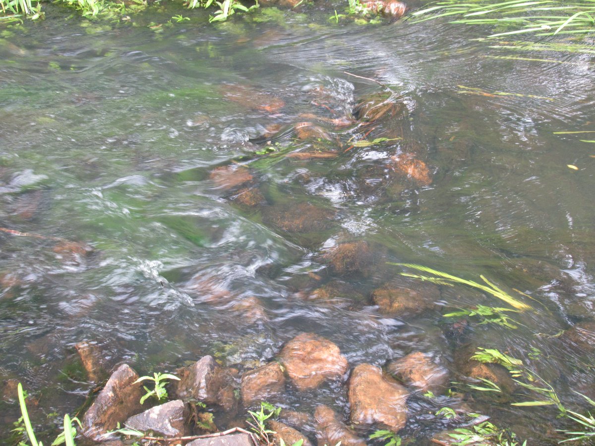 DeBiezen_76's tweet photo. #WorldFishMigrationDay #WereldVisMigratieDag Vispasseerbare passages in de spotlights vandaag πDe oude en de nieuwe verbeterde #vistrappen in de #SnelleLoop ππ§πWant vissen moeten kunnen trekken van en en naar hun paaiplaatsen. https://t.co/bb5tmPaB3G