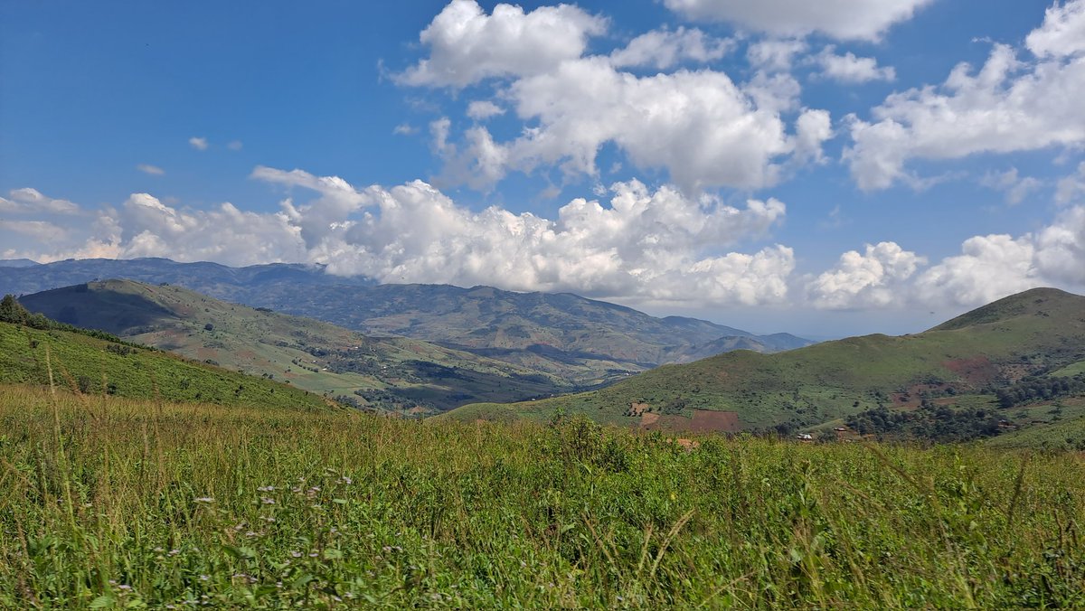 ItsMe_Jabeer's tweet photo. Caption: Nature
Location: Ruvuma, Tanzania.
#ExploringTanzania https://t.co/pfw1RqfQDf