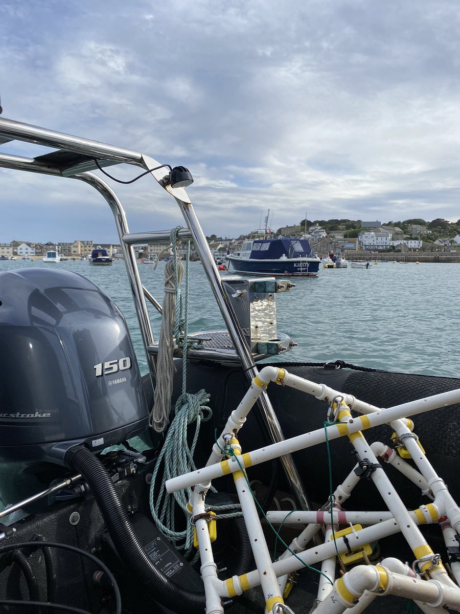First few BRUV drops done in the Isles of Scilly! Brilliant to get the camera rolling with <a href="/IoSIFCA/">Isles of Scilly IFCA</a> <a href="/MarineVertsMSc/">Marine Vertebrate MSc (U of Exeter)</a> <a href="/Carrie_Bristow/">Carrie Bristow</a> @OwenExeter