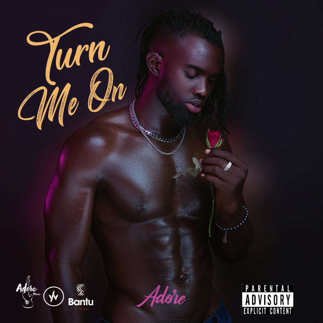 lynn_namiiro's tweet photo. Good New :   @life_of_adore is back with something amazing for you all stay glued something hot is dropping this Friday 
Link: https://t.co/6dfxOra6J7 
#TurnOnMe https://t.co/8CQQBFDRHy