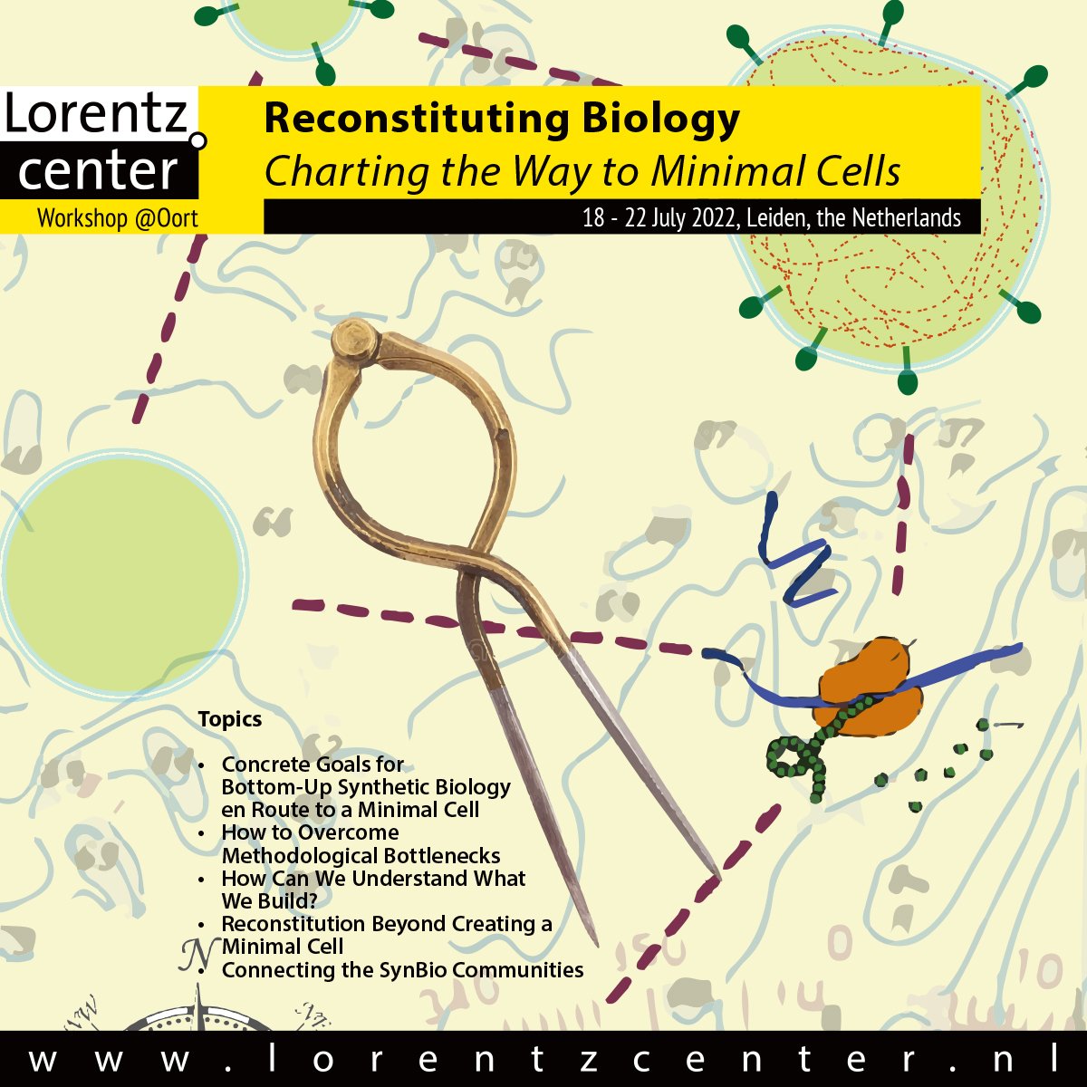 ...and for everyone at #SynCell2022 who want to continue discussing and building our #SynCell community, come join me, Allen Liu and @LaanLiedewij in Leiden in July: lorentzcenter.nl/reconstituting…