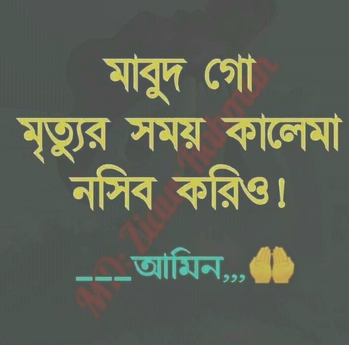 lng_md's tweet photo. @Jannati88767118 https://t.co/0L6zRqEUcK
