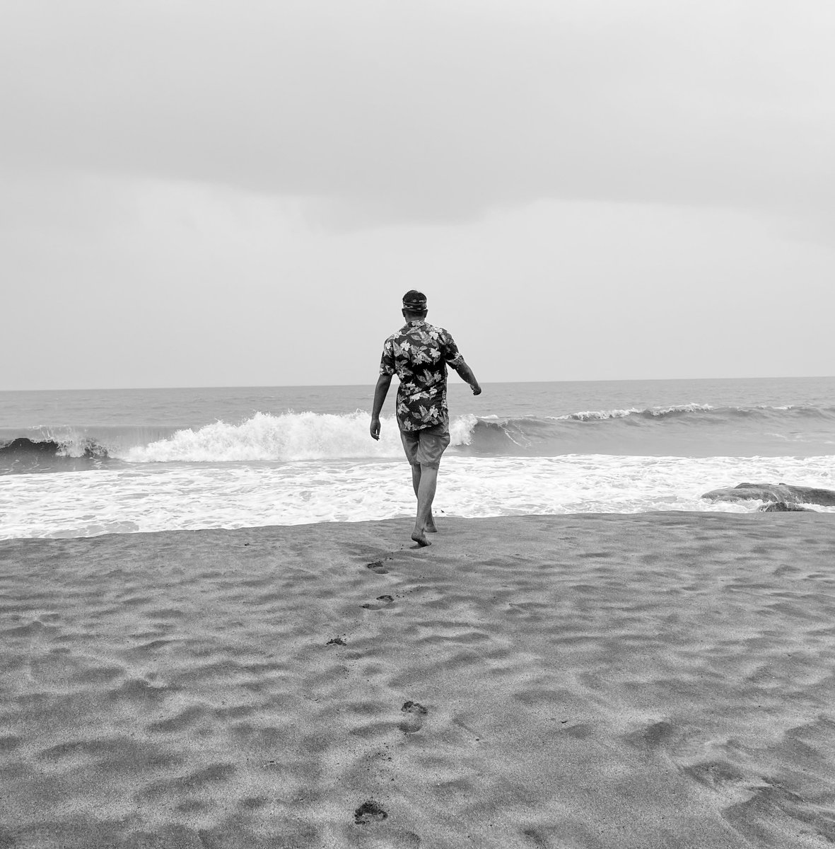 ilakathamafiliy's tweet photo. #ColaBeach #Goa https://t.co/4MwX0TZhcL