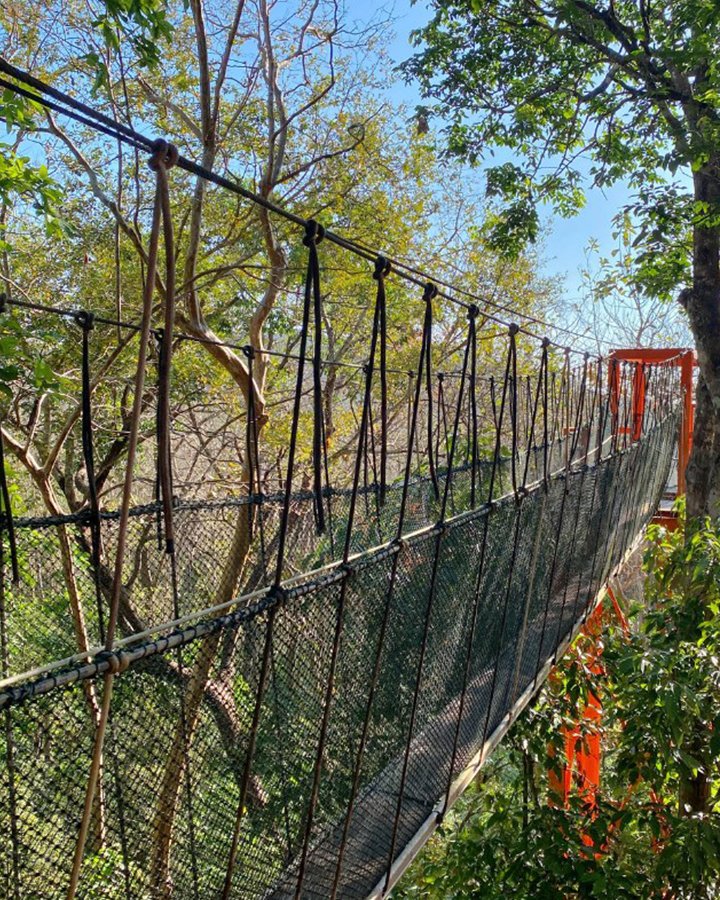 Rakyat ke-8 🌺🇲🇾 tweet media