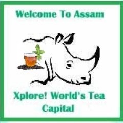Tourism Assam tweet media