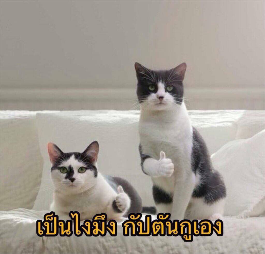 กัปตันเบงเคทำหน้าที่ได้ดีมากข่ะ 👍🏻🌚

 #เฌอแก้วโอชิเบะ #เฌอแก้ว