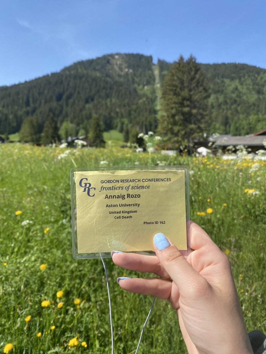 annaig rozo tweet media