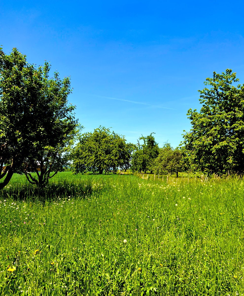 ankeanine's tweet image. Lieber Gruss aus dem grünen Bereich.