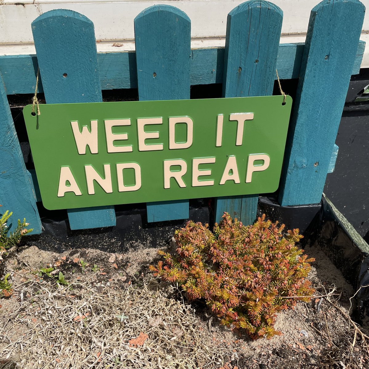 Our favourite sign outside sold the other day… so we got a replacement one!
Bye bye Orange and hello Green!

background ENDCLIFFE GREEN 
text WINTER PEACH
13 1/2” x 6”

You can find this at <a href="/marytomfriends/">MARY, TOM & friends</a> 
8, the esplanade
fleetwood, lancs. 
FY7 6DL

#happysign #weatherproof