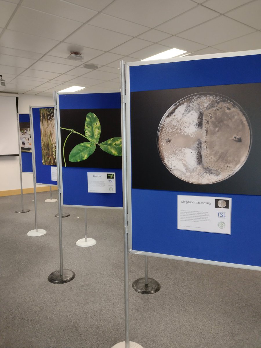 And we're off! 

Celebrating #fascinationofplants at the Plants of the Future Open Day <a href="/NorwichResearch/">Norwich Research Park</a> today! Lots of interactive stalls and exhibits from <a href="/TheSainsburyLab/">The Sainsbury Laboratory</a> <a href="/JohnInnesCentre/">John Innes Centre</a>
<a href="/TheQuadram/">Quadram Institute</a> <a href="/EarlhamInst/">Earlham Institute</a>! 

Join us from 10:00-16:00!
 #norwichplants
