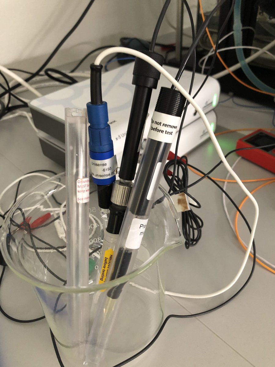 KE_Brodersen's tweet image. #microsensor2022 Measuring Nitric oxide (NO) production within anoxic seagrass leaf epiphytic biofilms #seagrass #biofilms #anoxia @seas_green @Qingfeng2434746 @UnisenseDenmark Seagrass leaf surface microbiology project 2022
For further information see: royalsocietypublishing.org/doi/10.1098/rs…