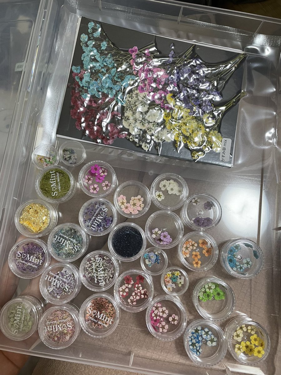 potek0u0's tweet photo. レジンでダメカン作るためだけに買った押し花花材。何個作るの？って量。可愛くてついつい買っちゃう😭 https://t.co/4OMr9QoU8D