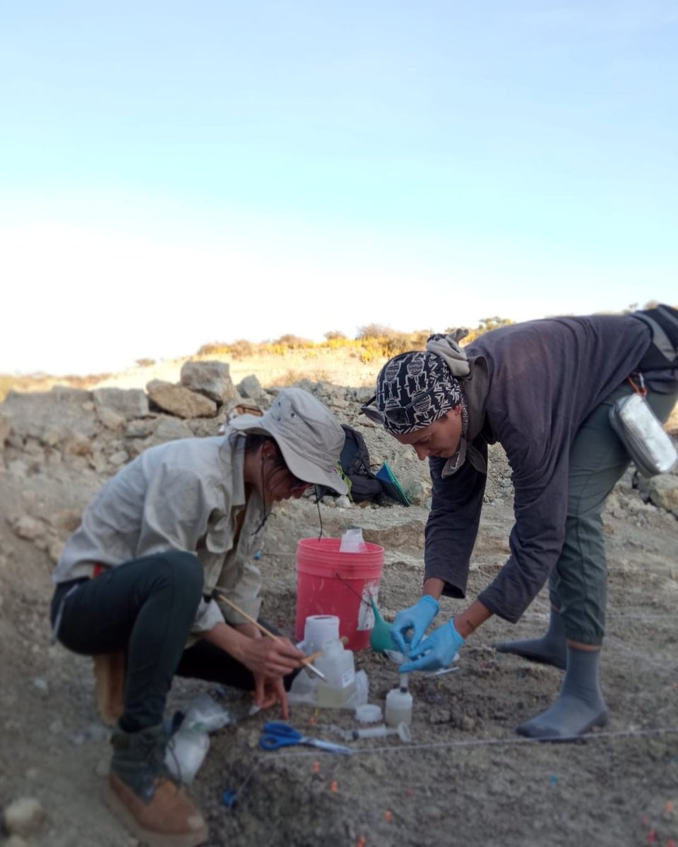 IDEAolduvai's tweet photo. 👉 En la foto, @Lucia_HViv  y Elena, restauradoras del equipo, interviniendo materiales en campo durante la campaña de excavación de enero.
 #Archaeology #OlduvaiGorge #Oldupai #HumanEvolution   #Fieldwork #IDEA #IDEAOlduvai #TOPPPteam https://t.co/r1nDRlj54e