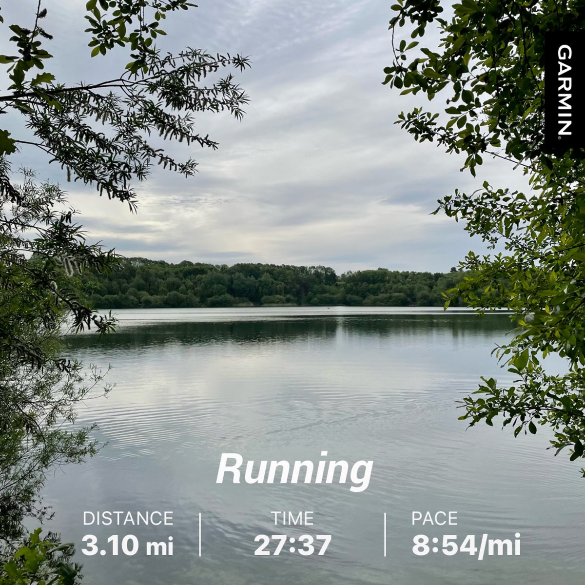 Paul Newton tweet media