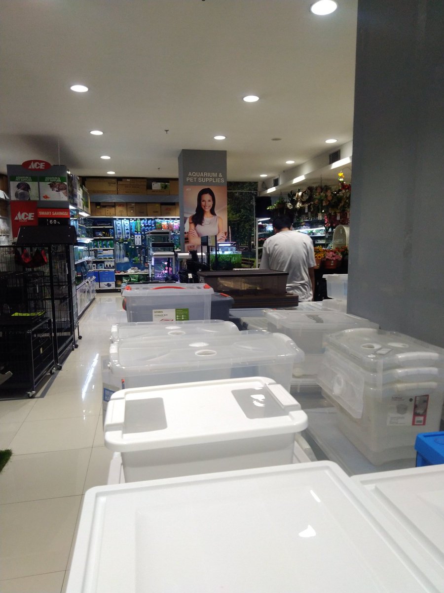 disyahrani's tweet photo. kalo ke mall, suami taroh aja di ACE trus tinggal belanja, dah 2 jam juga betah tuh liat obeng sama ikan 😂😂😂 https://t.co/7E5Gdqx83l