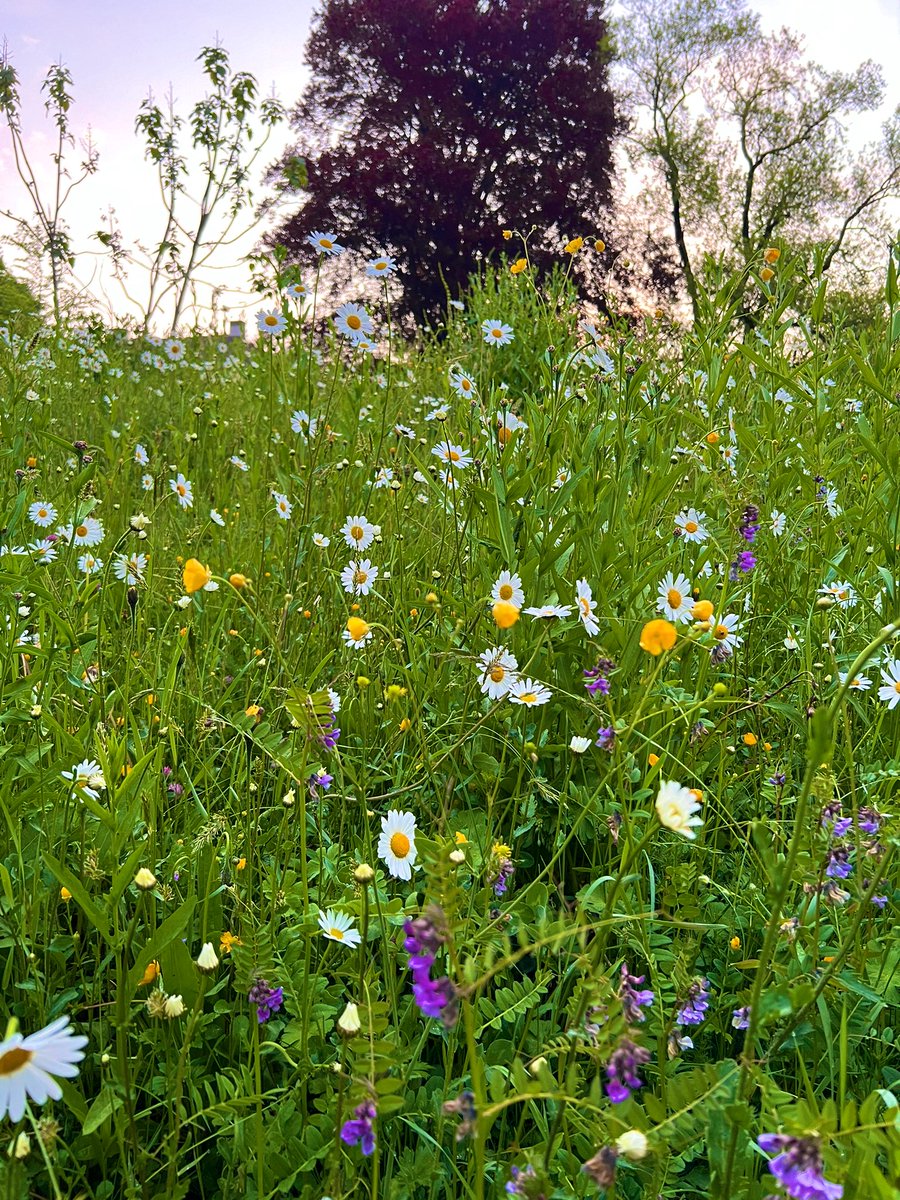 ankeanine's tweet image. Stay strong.