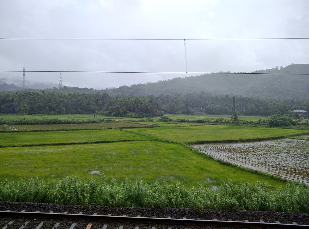 mindmusclepro's tweet photo. #TrainPics @KeralaTourism https://t.co/bY2SnQpfYX