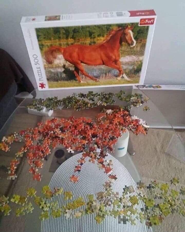 We get it nabuo mo na ang puzzle. But the point is kailangan pa bang picturan? 🤣
Ctto picture not mine