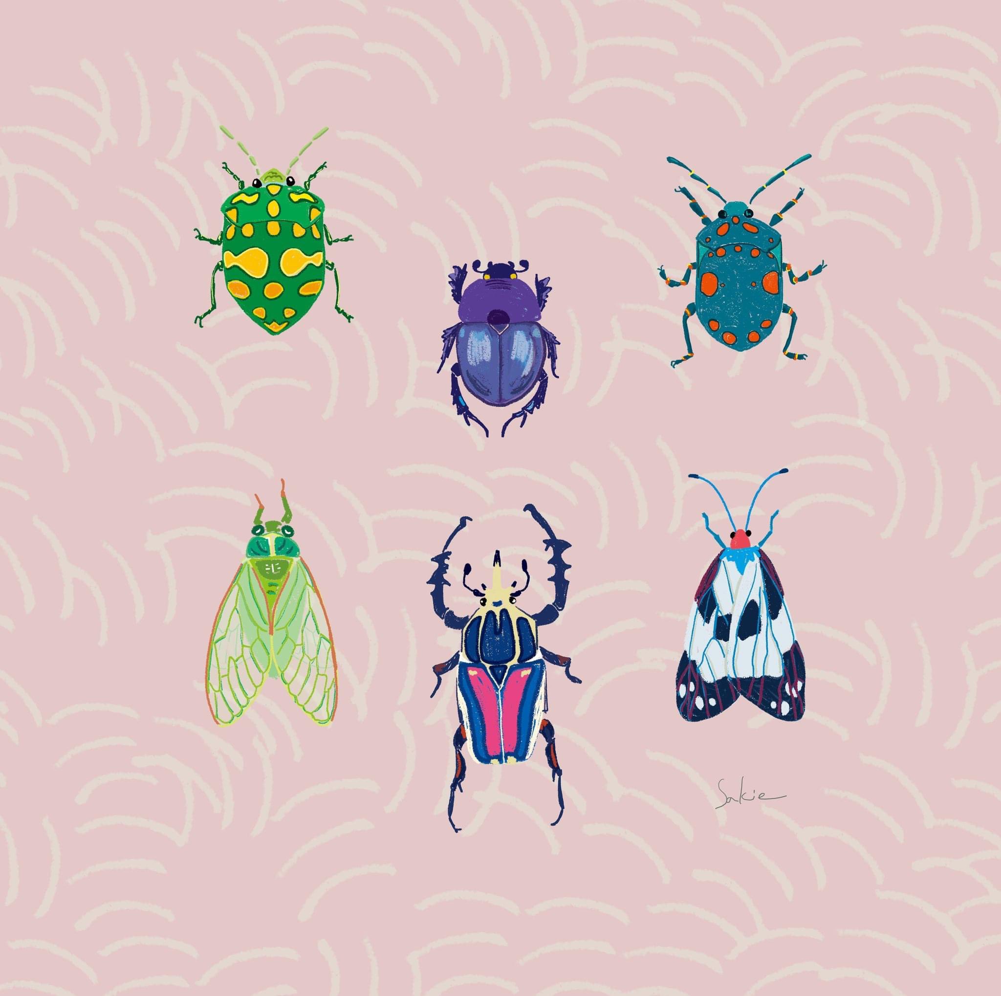 イラスト サクサク 明日 5月22日にビッグサイトで行われるデザインフェスタに出ます 南１階にある H 68 です 虫のイラストや小物と 鹿の角で作ったよくわからないいきもの達を持っていきますyo デザフェス デザフェス55 デザインフェスタ