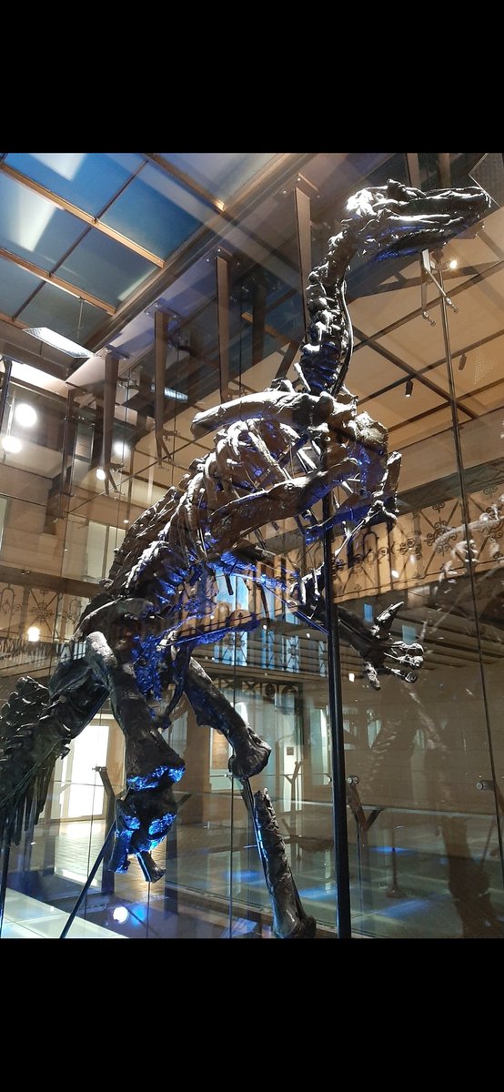 quintelierjens's tweet photo. @JW_Evolution @XboxGamePass @HyperX Definitely the Iguanodons. They are what sparked the dinosaur interest when I saw these in @RBINSmuseum as a kid. https://t.co/HXTcWiHtqy