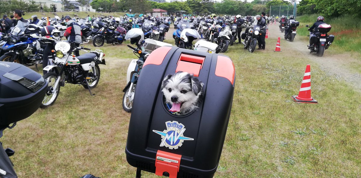 _bikersbrain_'s tweet photo. #2022SSTR
ほぼ正午にゴール。
予想より2時間早く着いた 。
余裕こいてキャンプ場に行って
テントを設営後に千里浜
に戻ったら
バイクいっぱい https://t.co/go7jOkb5DQ