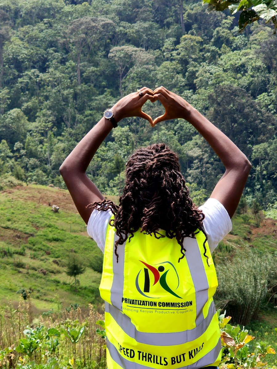 PrivatisationKE's tweet image. Until you dig a hole, plant a tree, water it and make it survive, you haven't done a thing. You are just talking ~ Wangari Maathai 
#ChallengeAccepted #PCFit @Nature_Kenya