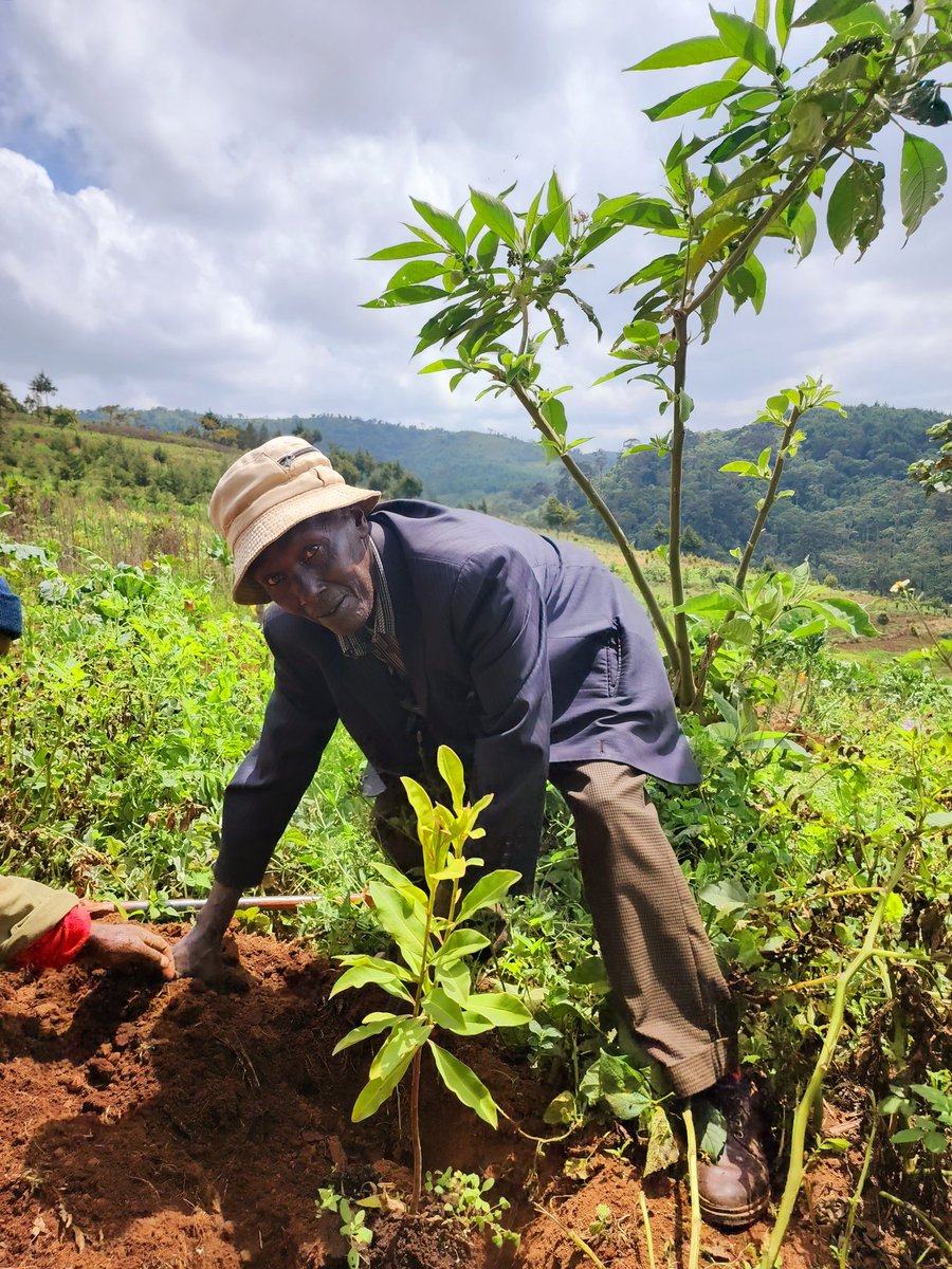 PrivatisationKE's tweet image. Until you dig a hole, plant a tree, water it and make it survive, you haven't done a thing. You are just talking ~ Wangari Maathai 
#ChallengeAccepted #PCFit @Nature_Kenya