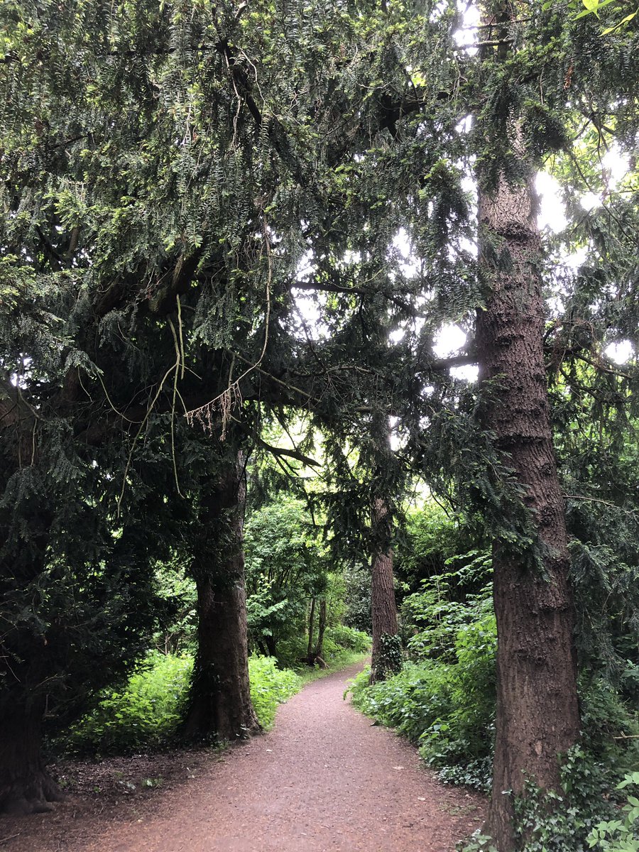 ParamMariappan's tweet photo. What’s your step count to and from place of work?
#weewalks #springinEdinburgh #Scottishoutdoors #takecareofyourback #BladderCancerAware22 @BladderCancerUK @EdinBC_Surgery https://t.co/idps5aIZEd