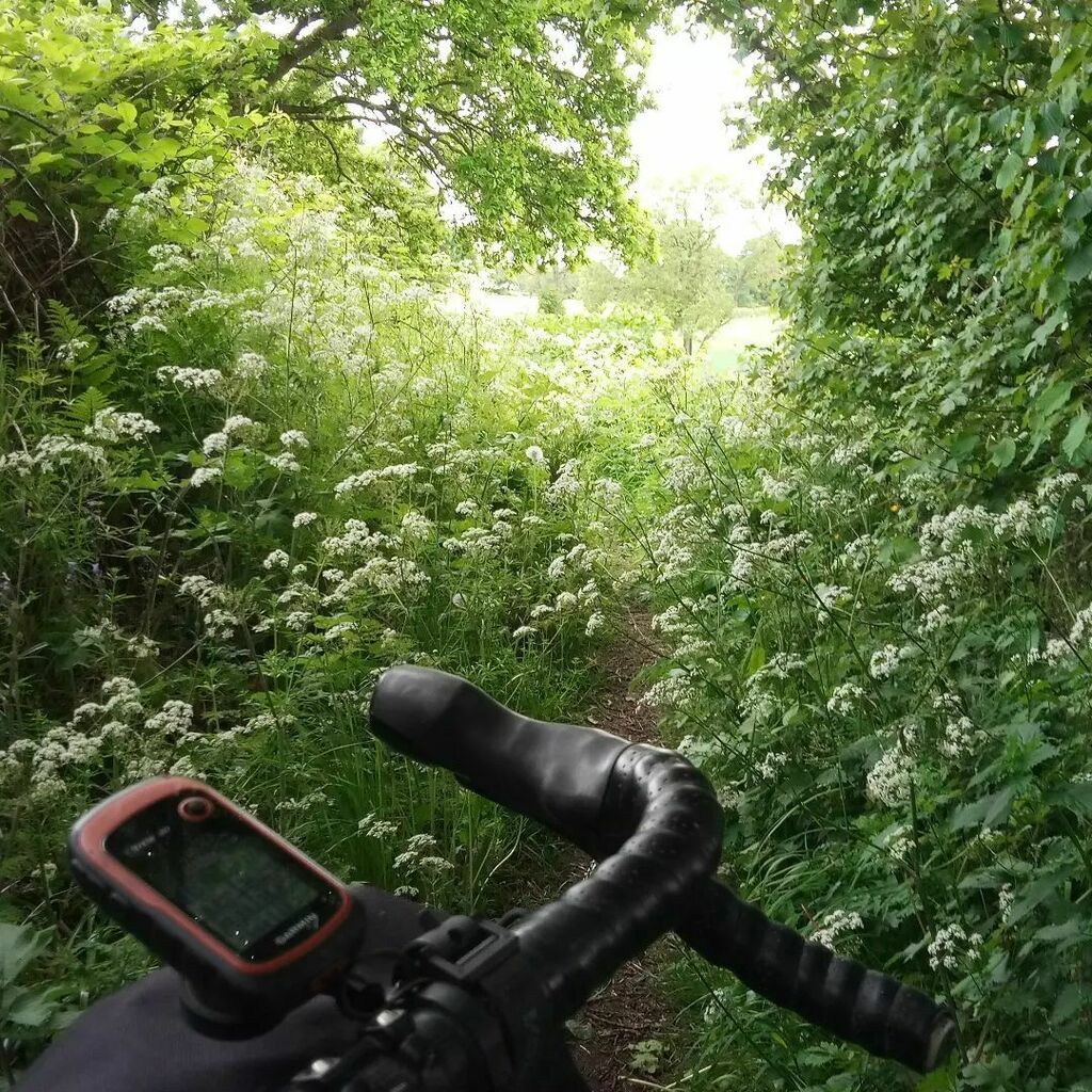 Velotastic's tweet photo. Off exploring dashes on a map.
#cycling #gravelbikes #gravelbikeguide #gravelride #LocalLoop https://t.co/TPvTAWzFI9 https://t.co/WCXrGfmfoI