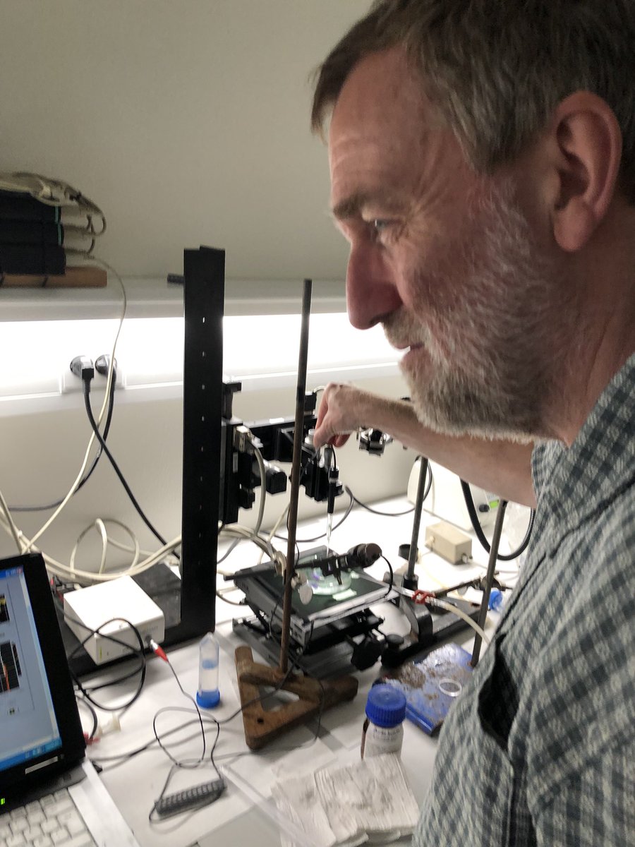KE_Brodersen's tweet image. #microsensor2022 Custom-made 3-dimensional (x, y, z) microsensor system in use! Investigating the chemical microenvironment around microalgae @MicroSensing @ARIANNARIZZO13 @hhxx70