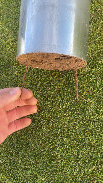 Positive week on the links! Despite golfer ‘z’ insisting to play from championship tees……5 weeks before  said championship is taking place! 🙄🙄🤣 some timely rain fall to assist applications around the course … Greenkeeper’s doing a fab job 😊