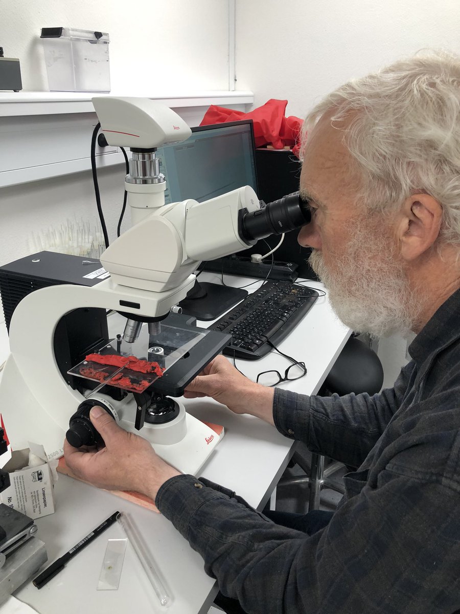 KE_Brodersen's tweet image. #microsensor2022 Microsensors in the making at the biannual microsensor course 2022 in Rønbjerg (Denmark). By Niels Peter Revsbech himself. For further info: mbl.ku.dk/mkuhl/microsen…
