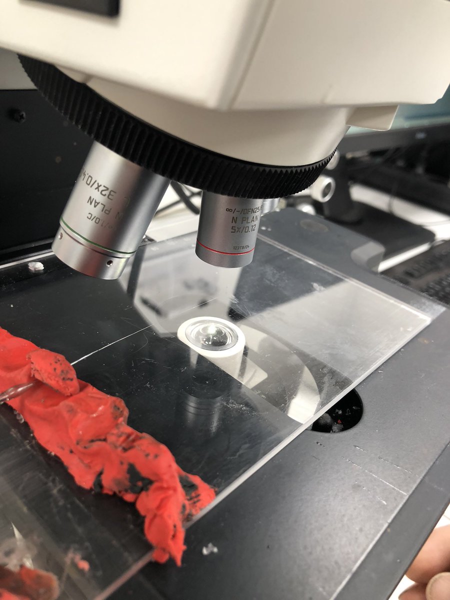 KE_Brodersen's tweet image. #microsensor2022 Microsensors in the making at the biannual microsensor course 2022 in Rønbjerg (Denmark). By Niels Peter Revsbech himself. For further info: mbl.ku.dk/mkuhl/microsen…