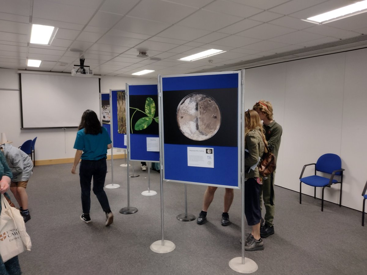 Josie Maidment (@josiemaidment) on Twitter photo Our photograph exhibit Plant Health: Through Our Eyes is popular! Many thanks to the <a href="/BS_PP/">British Society for Plant Pathology</a> Plant Pathology Promotion Fund for sponsoring this (and many of the stalls at our #norwichplants Open Day)! Our photograph exhibit Plant Health: Through Our Eyes is popular! Many thanks to the <a href="/BS_PP/">British Society for Plant Pathology</a> Plant Pathology Promotion Fund for sponsoring this (and many of the stalls at our #norwichplants Open Day)!