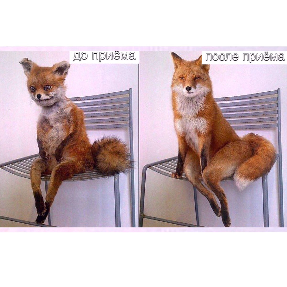 Поможем раскрыться и цвести

Ваши М.Долгинов и 
#психобиодинамика 

#ПБДфототерапия 
#ПБД_до_после