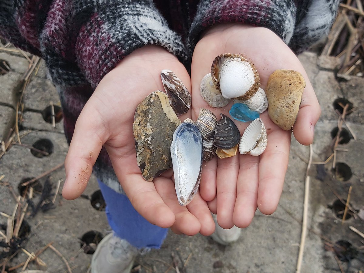 suzy_o_hara's tweet photo. Exploring Potato Garth beach wih our #SeaChangeLab 13 young people from Horden this AM. Part of @colabsunderland @tynetotees https://t.co/txg5prf9zv