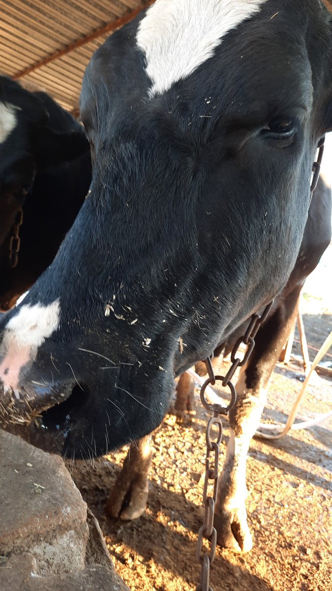 Bana her şey seni hatirlatiyor