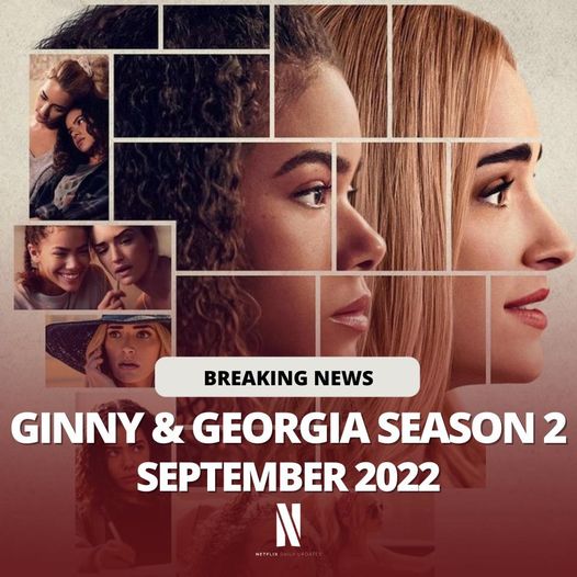 Ginny Rotten Tomatoes, 42 OFF