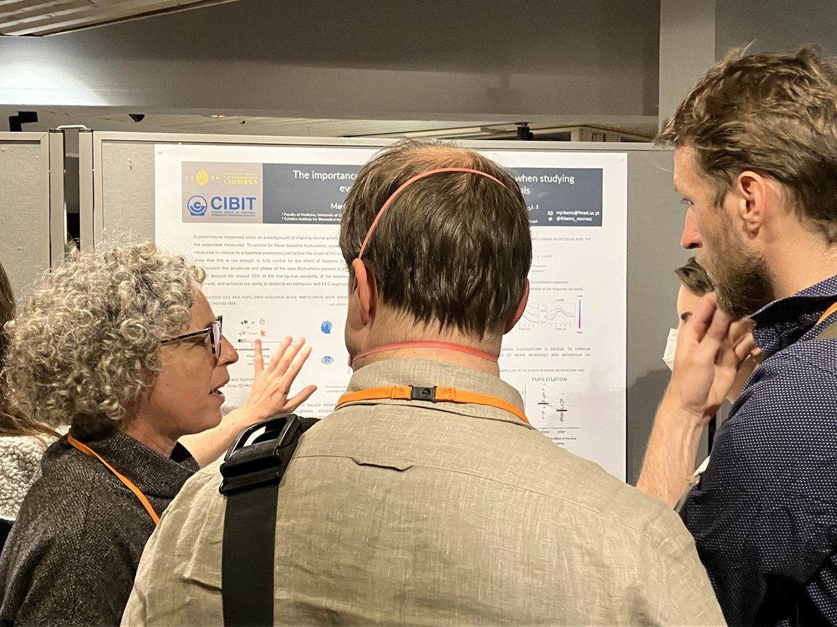 CIBIT_UC's tweet photo. ❓Is ongoing #brain activity relevant when studying evoked responses in the #EEG and pupil signals?
➡️@Ribeiro_neurosc will tell you today @ICON2020FIN, poster #240.
You don't want to be the only one missing her poster! 😅
#ICON2022 #ICON2020 #neuroscience https://t.co/vvq4sBlCod