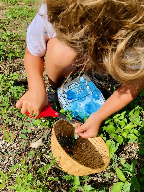 Nat Geo Education tweet media