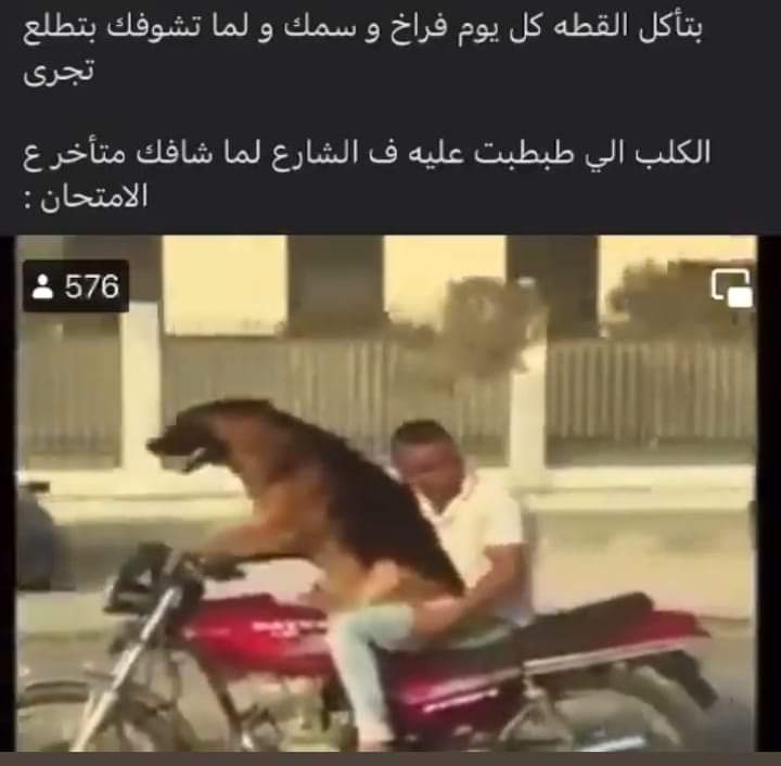 sad people's meme bot (@dead_inside_bot) on Twitter photo 