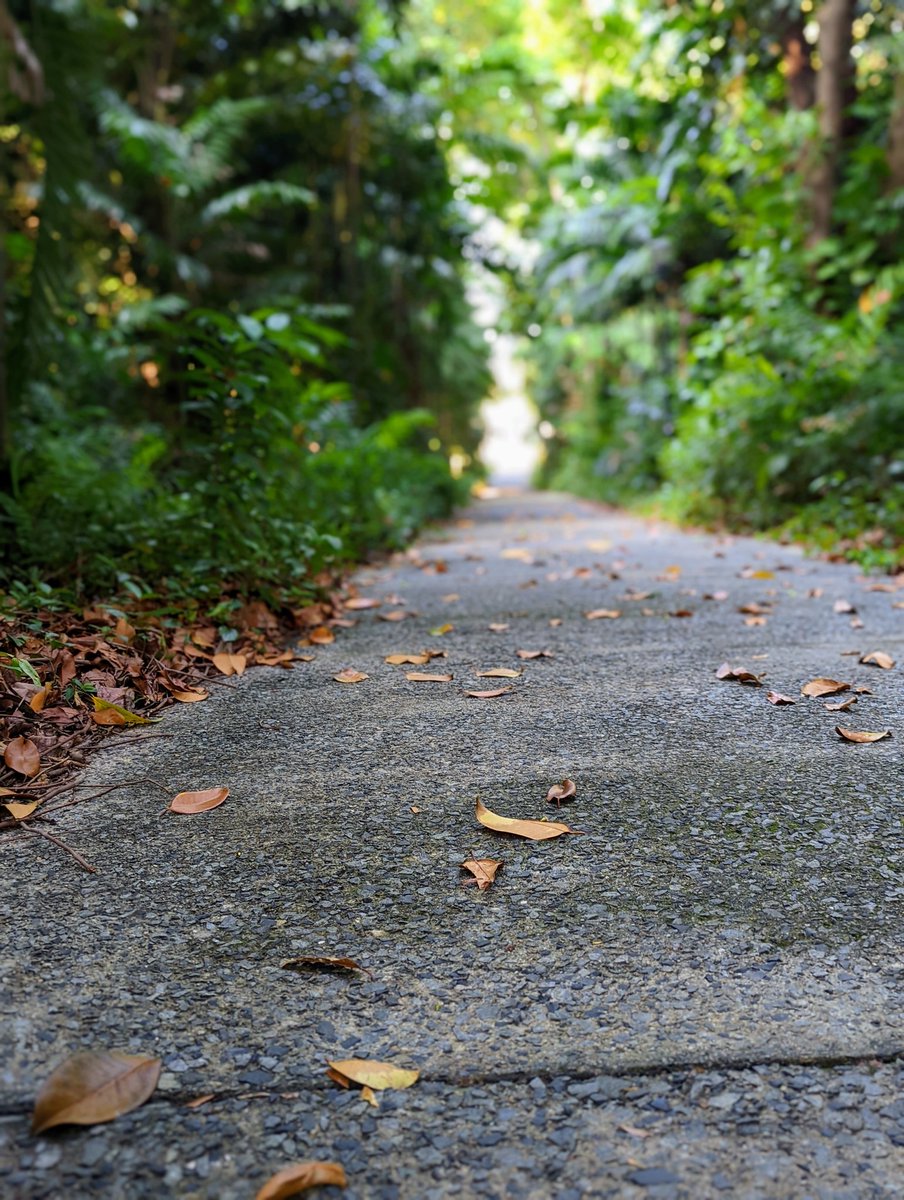 firozraja8's tweet photo. Let's run!
#WeekendRitual #WeekendRun #SGRunners https://t.co/FFfUR05tV2