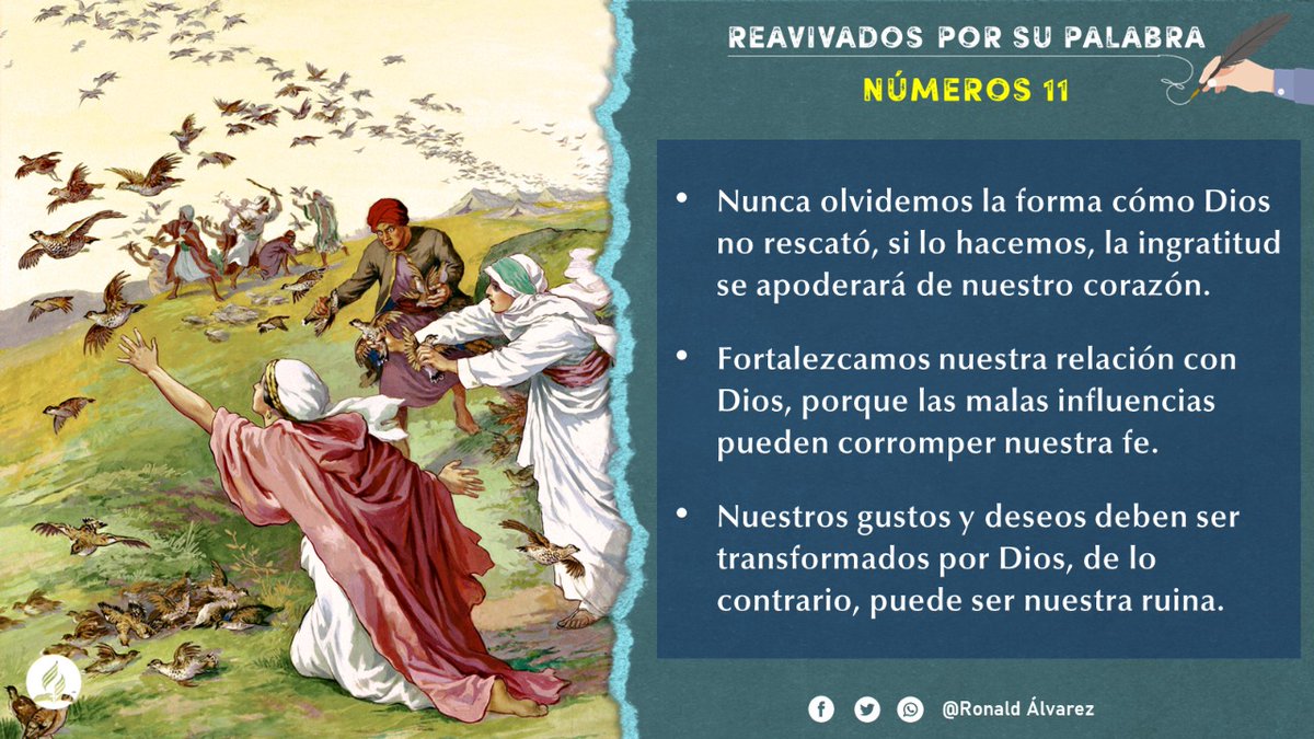RonaldlvarezTo1's tweet photo. #rpsp #PrimeroDios
#Numeros11 https://t.co/mqTQwXPvUL
