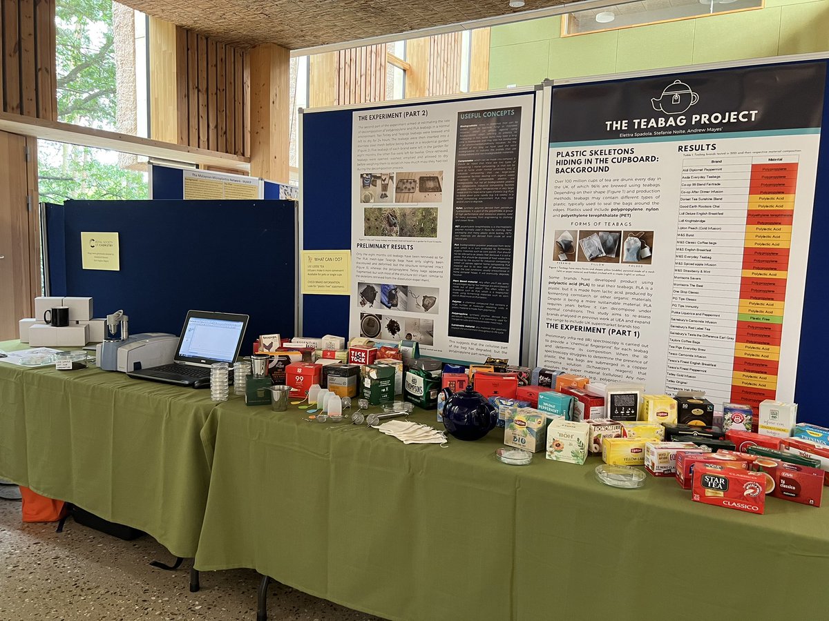 Elettra C tweet media