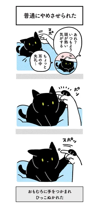 ねこの体温を確認するために耳のなかに指をいれたら、普通に手をつかまれてひっこぬかれやめさせられて、器用だしかしこい〜って感心した絵日記 #ろんの絵日記 