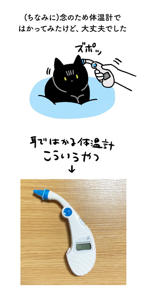 ねこの体温を確認するために耳のなかに指をいれたら、普通に手をつかまれてひっこぬかれやめさせられて、器用だしかしこい〜って感心した絵日記 #ろんの絵日記 