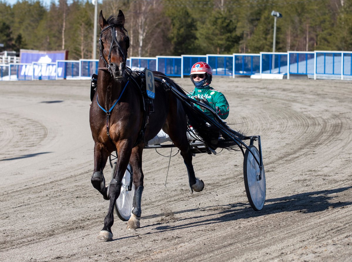 pohjoinenravia's tweet photo. Shackhills Twister leikitteli Ilkka-Pohjalainen ajon karsinnassa – Lystilän Lento korjaili ennätystään sekä voittoprosenttiaan. Seinäjoen perjantai-illan raportti luettavissa nyt https://t.co/Et6xsSM0r4 nettisivuilta.

#pohjoinenravialue #ravit #raviurheilu https://t.co/thKm2lvbWW