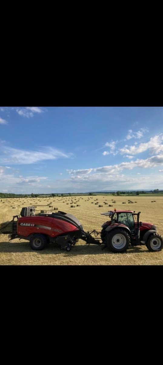 Maplehurst Farm tweet media